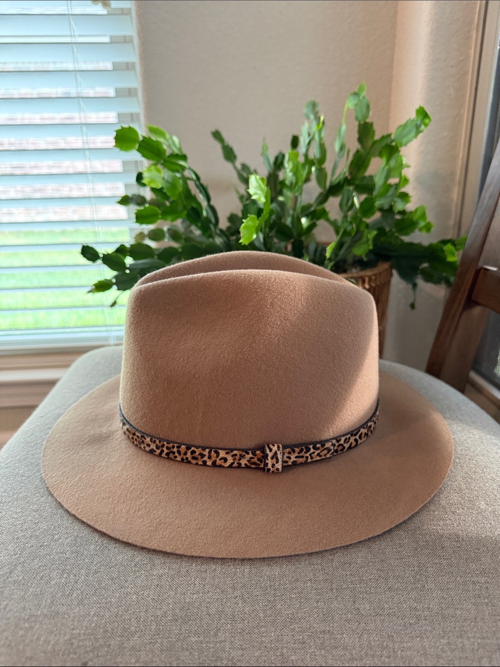 Anna & Ava Tan Felt Fedora with Leopard Accent Band